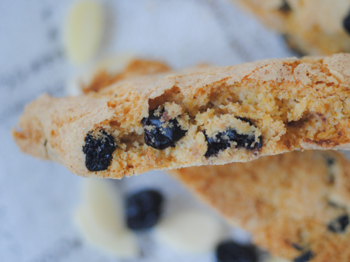 TheDustyBaker-BlueberryBiscotti-1