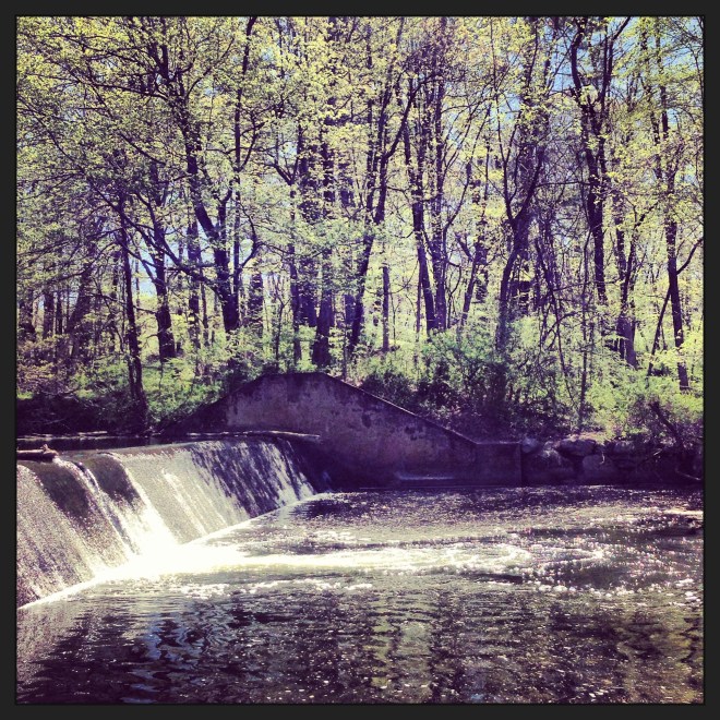 A resting place when not feeling ill during a training walk last week.