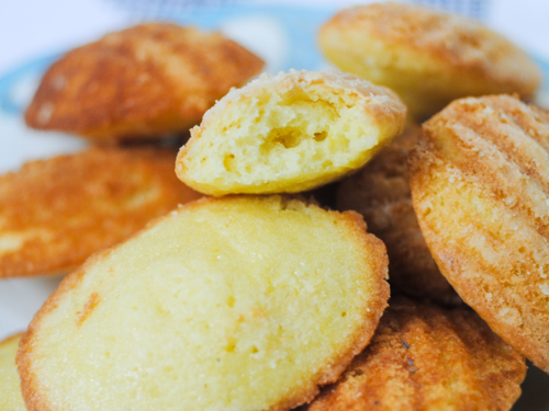 Lemon Madeleines - TheDustyBaker